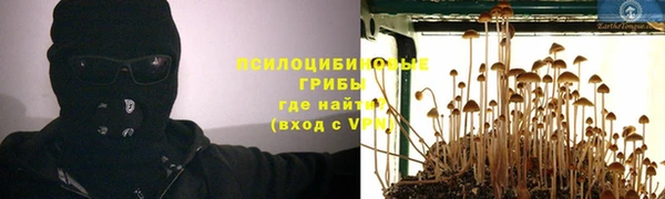 таблы Гусиноозёрск