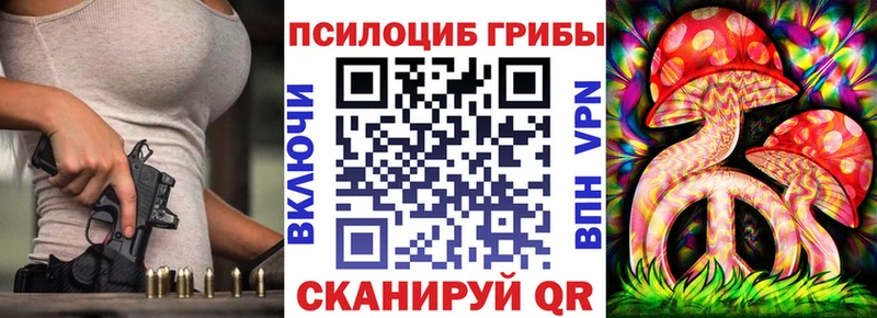 Купить закладки  Сертолово  Псилоцибиновые грибы Magic Shrooms 